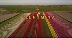 April 3, 2021april 3, 2021. Ollandia Drone Ta3ideyei Panw Apo An8ismena Libadia Me Toylipes Kai To Apotelesma Mageyei Binteo Enallaktikh Drash