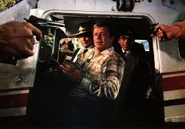 Herbie goes Bananas | The Fan Carpet