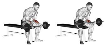 Der kopf liegt in der verlängerung der wirbelsäule. á… Unterarmmuskeln Trainieren 6 Top Ubungen Bilder Videos