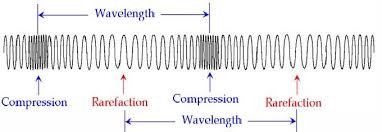 Properties of transverse & longitudinal waves. Waves Boundless Physics