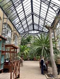 Hortus Botanicus Amsterdam In 2020 Amsterdam Holidays Amsterdam Travel Guide Amsterdam Travel