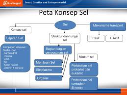 Peta konsep teknik menulis ki. Peta Konsep Struktur Dan Fungsi Sel