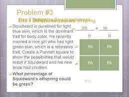 Choose your answers carefully after you have run the square. How To Make A Punnett Square A Step