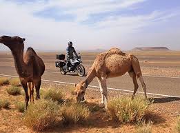 I just wanted to say thank you very much for organising our time in fabulous morocco especially the change of arrangements while julie was sick. Motorcycle Tour Morocco Adventure Imtbike
