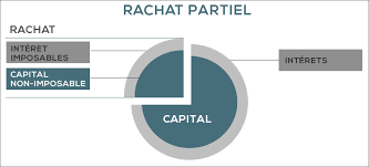 Rachat Assurance Vie Fonctionnement Et Principes Des Rachats