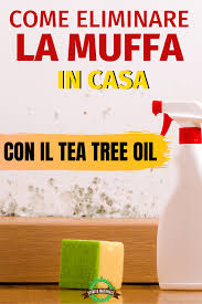 Rimedinaturali Teatree Consiglicasa Spiritonaturale Desperate Housewives Cleaning Hacks Green Life