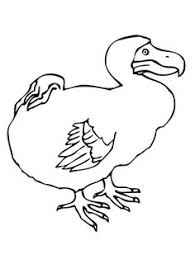Dodo family, cartoon of a birds family with a tender and gentle young bird smiling to camera, great mascot or character for a book. 28 Dodo Bird Coloring Pages Ideas Bird Coloring Pages Coloring Pages Dodo