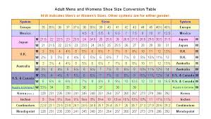 Converse Shoe Size