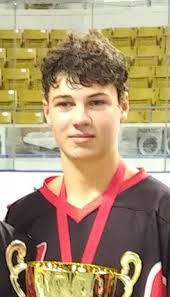 NEW TECUMSETH BALL HOCKEY LEAGUE (NTBHL) Hockey powered by GOALLINE.ca