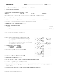 Prophase 1, metaphase 1, anaphase 1, telophase 1, cytokinesis. Meiosis Review