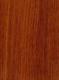 Burma Padauk Sealed Wood Texture Wood Floor Texture Orange Wood