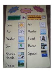 living things anchor chart