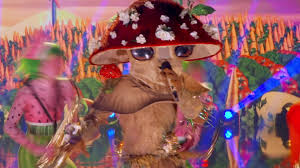 Who is under the masks on the itv show the masked singer? The Masked Singer Tv Series 2019 2021 Imdb