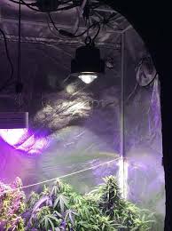 Check spelling or type a new query. The Optic 1 Xl Has Caught My Eye Growweedeasy Com Cannabis Growing Forum