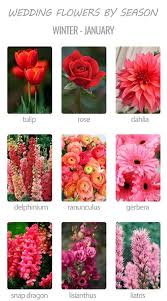 What flowers are in season now. Choosing Wedding Flowers By Season Wedding Forward Wedding Flowers Wedding Flowers Season Seasonal Flowers