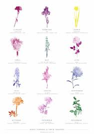 We did not find results for: Kikz Spotz Minimalist Tattoo Ideas Birth Month Flowers Facebook