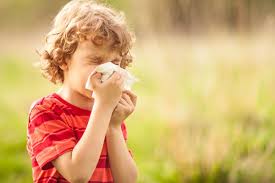 Tratamentul etiologic, care vizează sensibilitatea la alergen, este un tratament de desensibilizare, cu extracte alergenice standardizate, dar care durează extrem de mult, şi tratamentul simptomelor, cu antihistaminice. Alergia La Ambrozie Simptome Si Tratamente Itsy Bitsy