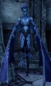 Irrai Is A Winged Twilight Who Is Found In Vastarie S Tower In Grahtwood Appearances The Elder Scrolls Online Elder Scrolls Art Skyrim Art Elder Scrolls