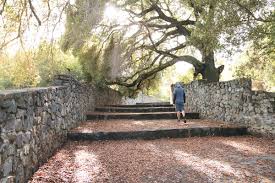 We did not find results for: Dos Picos Park Hidden San Diego