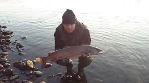 1,284 likes · 1 talking about this. Vladan Rakic Mladica C R Drina Gde Na Pecanje