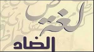 شعر عن اليوم العالمي للغة العربية مدح رائع للغه العربية كيوت