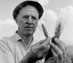 The Man Who Saved a Billion Lives