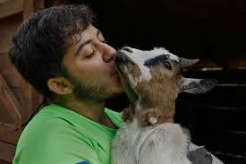 The Meat Paradox and Mind Denial: The Psychology of Eating Animals