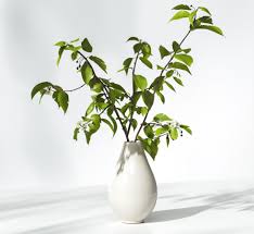 Tree Branches In Vase Free 3d Model Vase With Branches Tree Branch Vase Tree Branches
