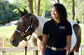 How much does it cost to keep a horse in oregon? Estimate Your Average Horse Cost State By State
