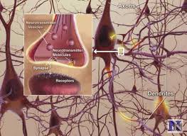 Pin On Alzheimers Dementia And Elderly Issues