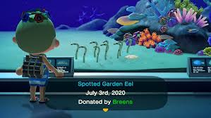New horizons.in this guide you'll find a handy checklist for all new and returning critters for the northern and. Full List Of Every Sea Creature In Animal Crossing New Horizons Updated Articles Pocket Gamer