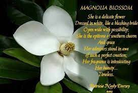 Southern Poems Mississippi Poems Country Life Poems Magnolia Poems By Patricia Neely Dorsey Poems About Life Magnolia Poems