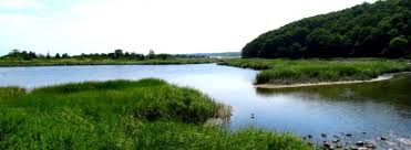 Nissequogue River