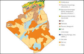 We did not find results for: Repartition Des Productions Agricoles Vegetales Au Plan Spatial Download Scientific Diagram