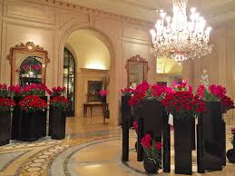 We did not find results for: Jeff Leatham Flowers Transform Four Seasons George V In Paris Architectural Digest