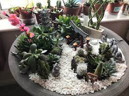 How do you say this in japanese? My Mini Japanese Style Garden But Made With Succulents And Cacti Also With A Mini Zen Garden Succulents