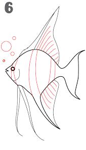 Learn how to draw a realistic fish step by step in this easy tutorial. Sketch Realistic Fish Drawing