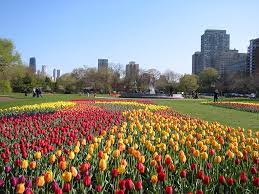 We did not find results for: Haven S Trending Neighborhood Lincoln Park Haven Lifestyles