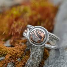 Image result for Copper Chestnut 2012 Cygnet