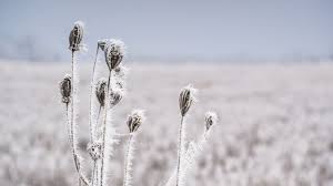 Prognoza meteo 3 august (audio). Prognoza Meteo Pentru Iarna 2017 2018 Cum Va Fi Vremea In Decembrie Ianuarie È™i Februarie