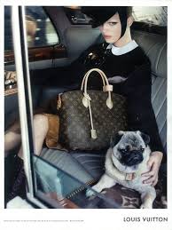 High Fashion Pug Pugs Pug Love Pugs And Kisses