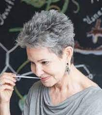 Twenty Short Gray Haircuts Haircuts Short Grey Haircuts Short Grey Hair Super Short Hair
