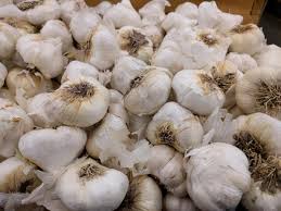 Choose the largest cloves for planting. Growing Garlic In Southern California Greg Alder S Yard Posts Southern California Food Gardening