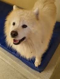 An Garda Síochána Donegal