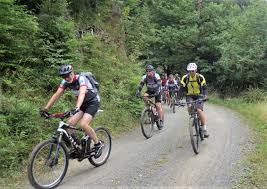 Mountainbiking Harzklub