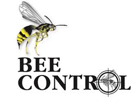 We've put together a guide to teach you what most ground bees do not have one single appearance because the term encompasses so many get your free quote in seconds. Bee Removal Wasp Elimination Yellow Jackets Bee Control Pittsburgh