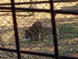 Reviews for Sanjay Gandhi National Park ...