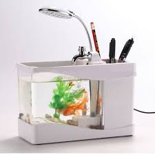 Lingkungan kecil ini bisa sangat temperamental sehingga perubahan kecil dalam kimiawi air, seperti perubahan amonia atau ph. Aquarium Mini Berikan Kehidupan Di Meja Kerja Anda