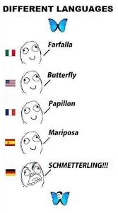 German Vs Other Languages Buzzfeed Funny Language Jokes Laughing So Hard
