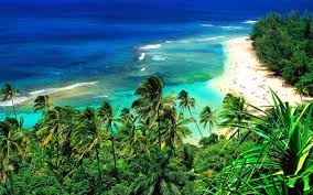 Hawaii 1080p high quality 1920x1080. Best 39 Hawaii 480 X 800 Wallpaper On Hipwallpaper Hawaii Girl Wallpaper Hawaii Beach Wallpaper And Hawaii Wallpaper Smartphone